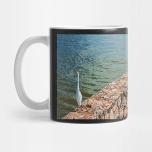 Crane, Egret & Coot. Mug